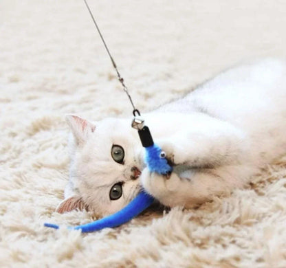 Cat Replacement Feather Toy Set