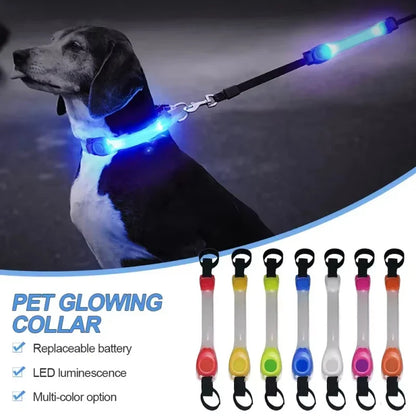 Pet Light Anti-loss safety Traction Collar