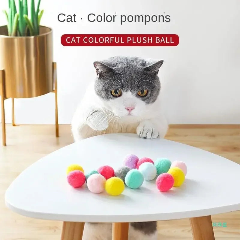 Cat Interactive Launch Training Ball Toy