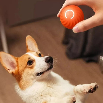 Dog Automatic Moving Bouncing Rolling Ball Toy
