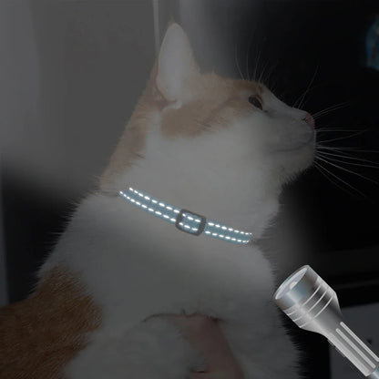 Cat Reflective Nylon Personalized Collar