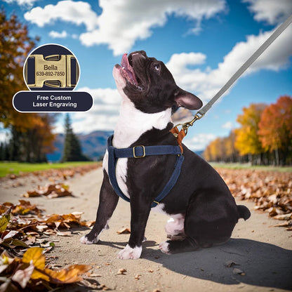Dog Reflective Custom Nylon Harness Vest