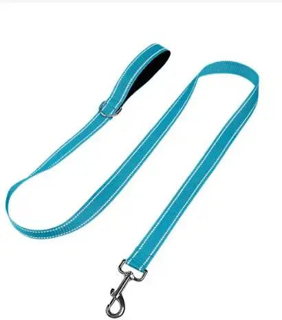 Dog Night Reflection Lead Strap