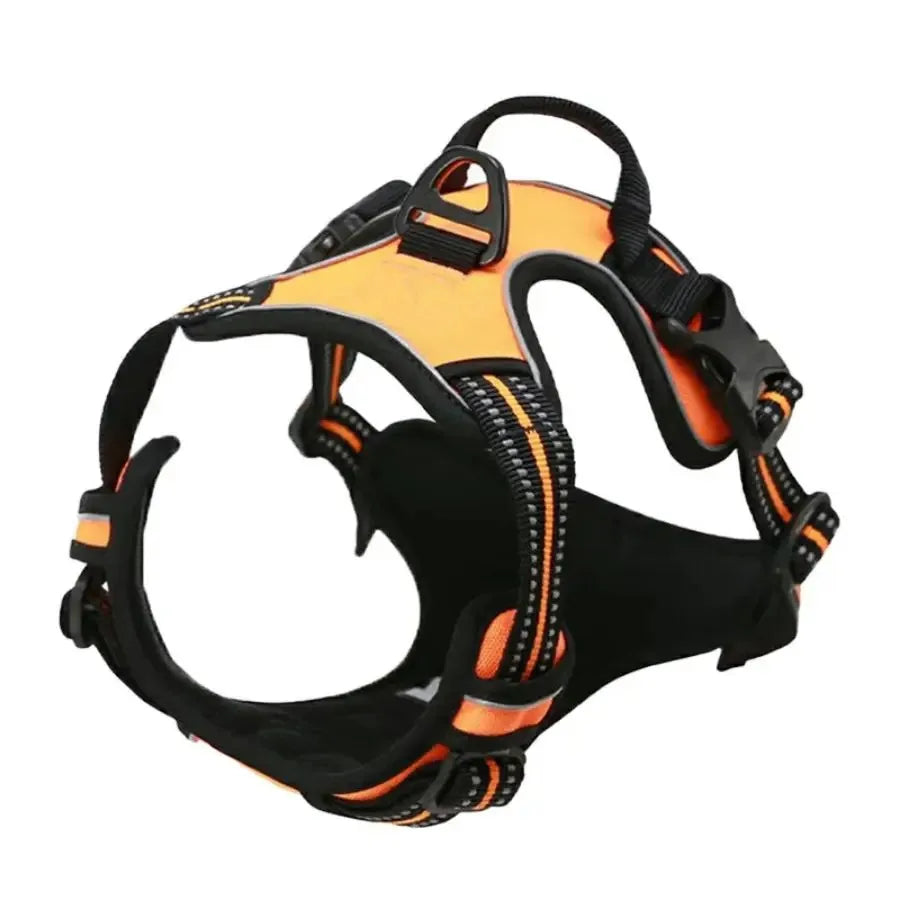 Dog Collars Harness Set
