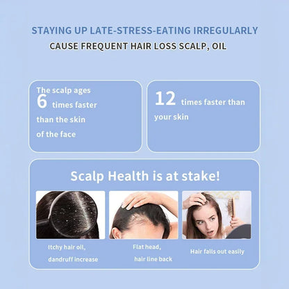 Hair Growth Electric Spray Massage Comb