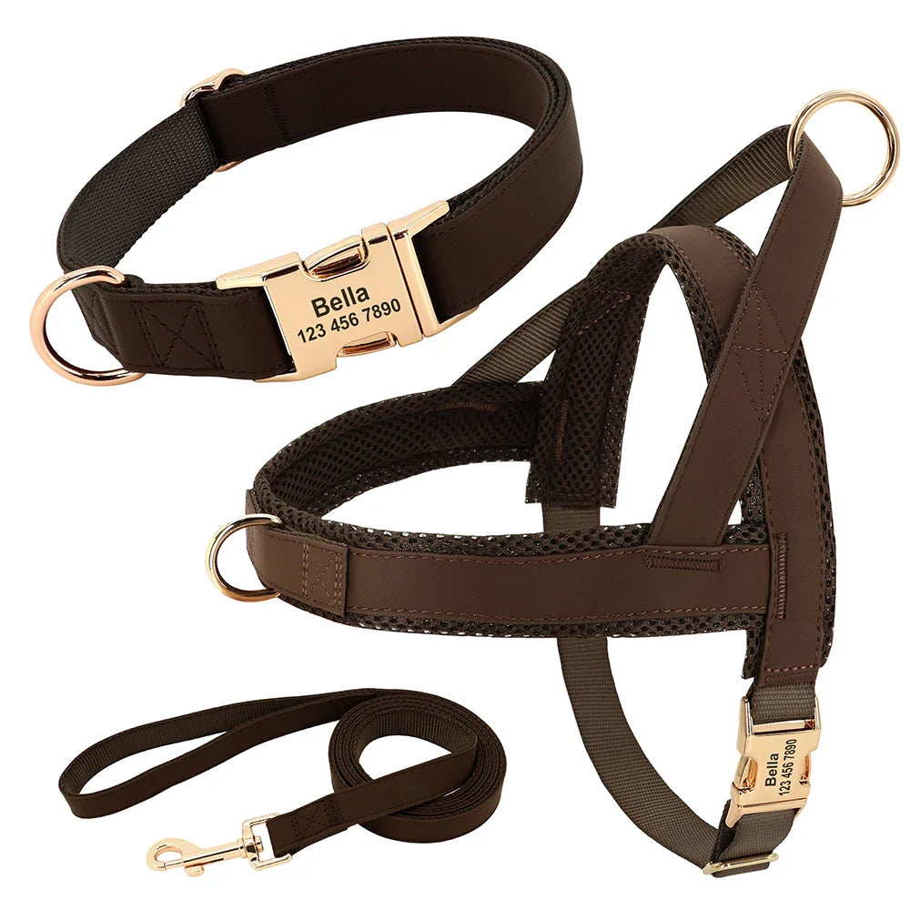 Dog Personalized Collar Harness Leash Set