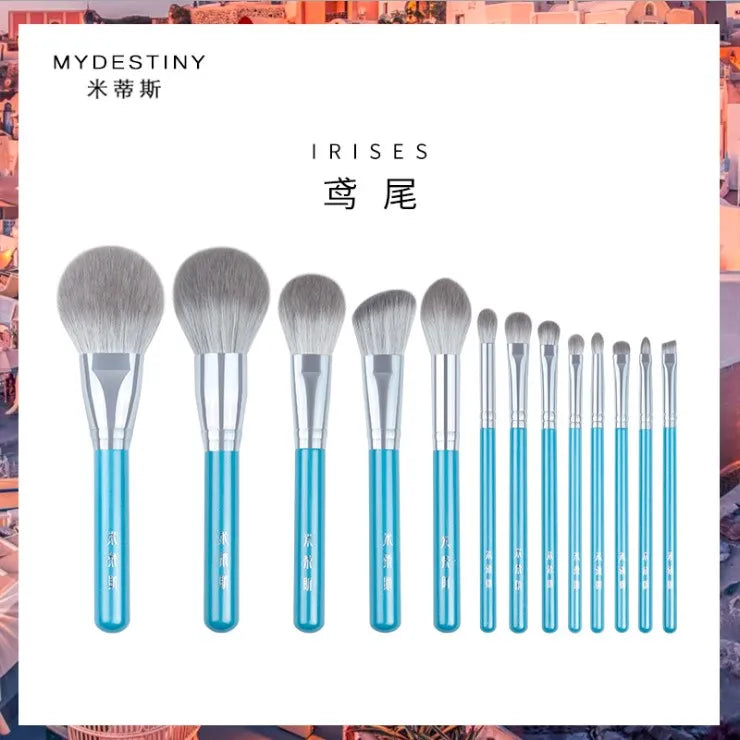 Sculpting Eyeshadow Brushes Whole Set