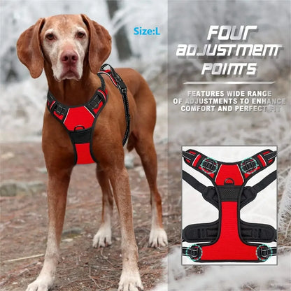 Dog Collars Harness Set