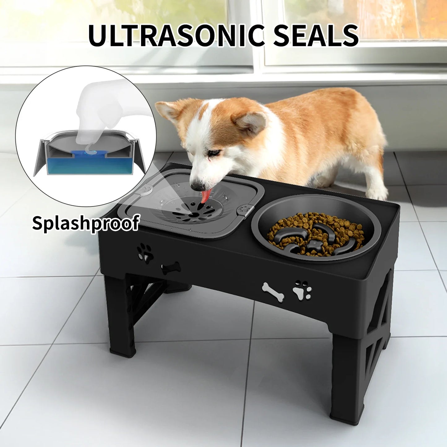 Pet 3 In 1 Foldable Double Bowl