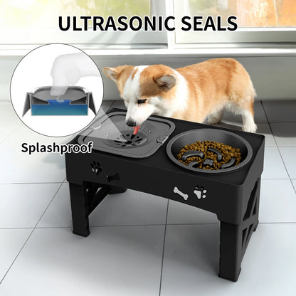 Pet 3 In 1 Foldable Double Bowl