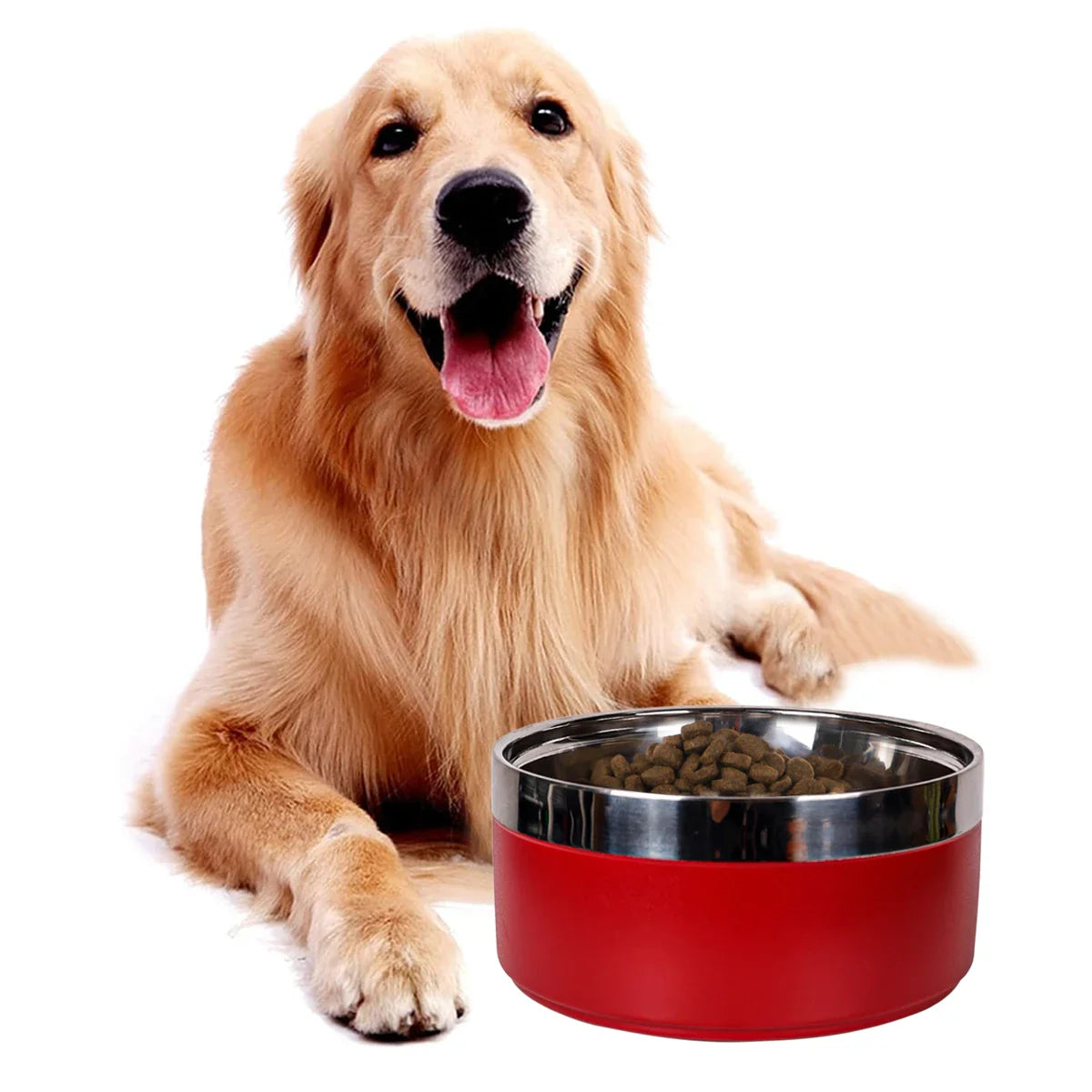Pet Stainless Steel Fashionable Plain Bowl