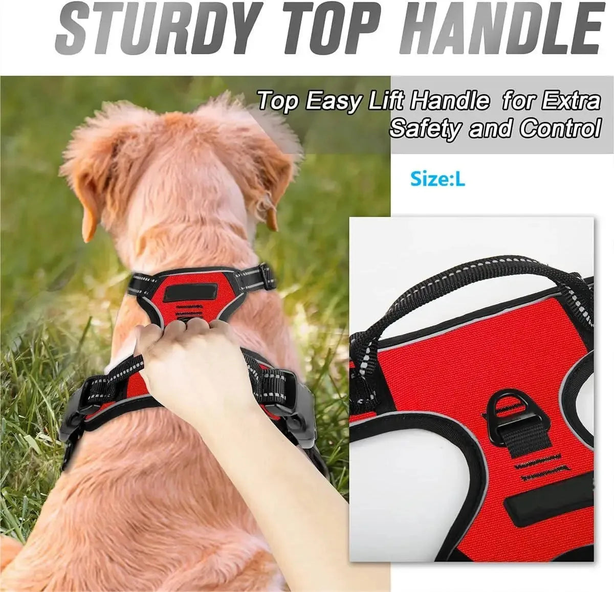 Dog Collars Harness Set