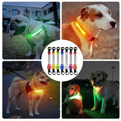Pet Light Anti-loss safety Traction Collar