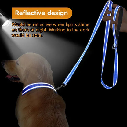 Dog Night Reflection Lead Strap