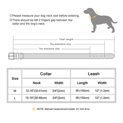 Dog Genuine Leather  Collar Leash Set