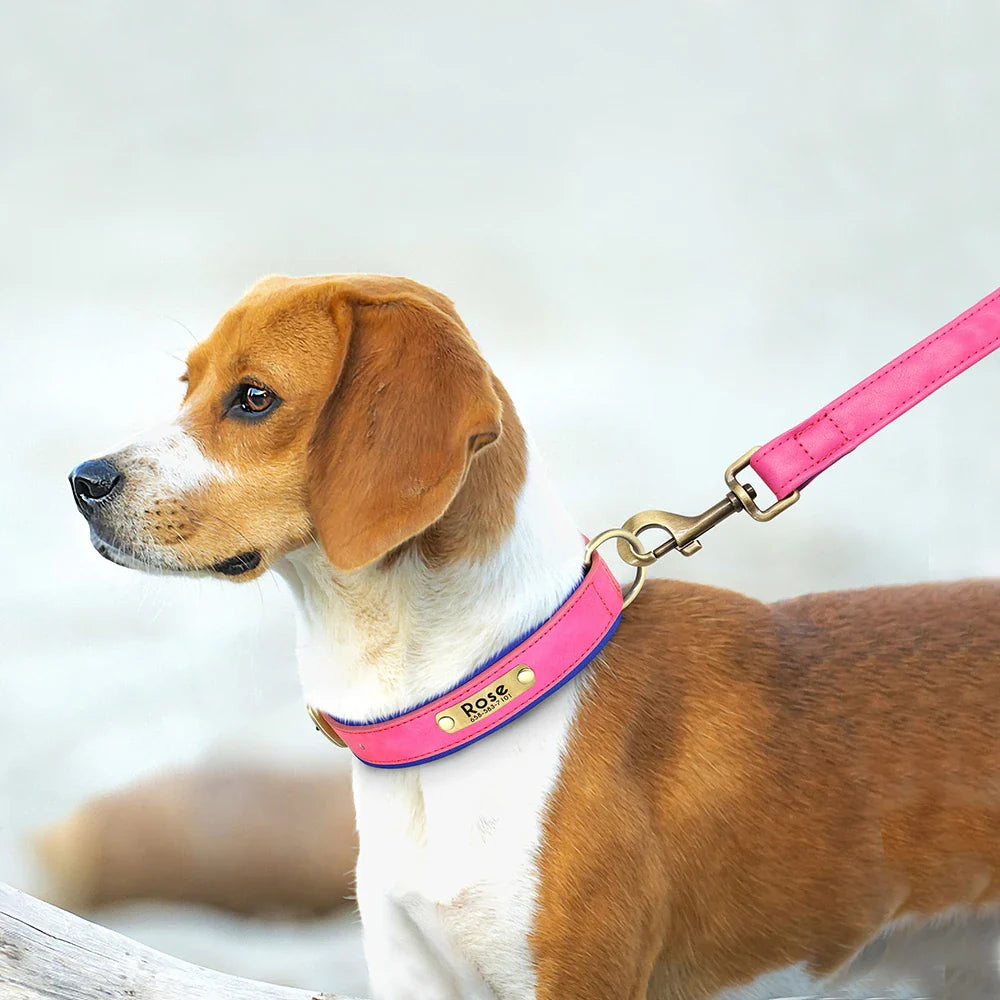 Dog Customized Leather Collar Leash Set