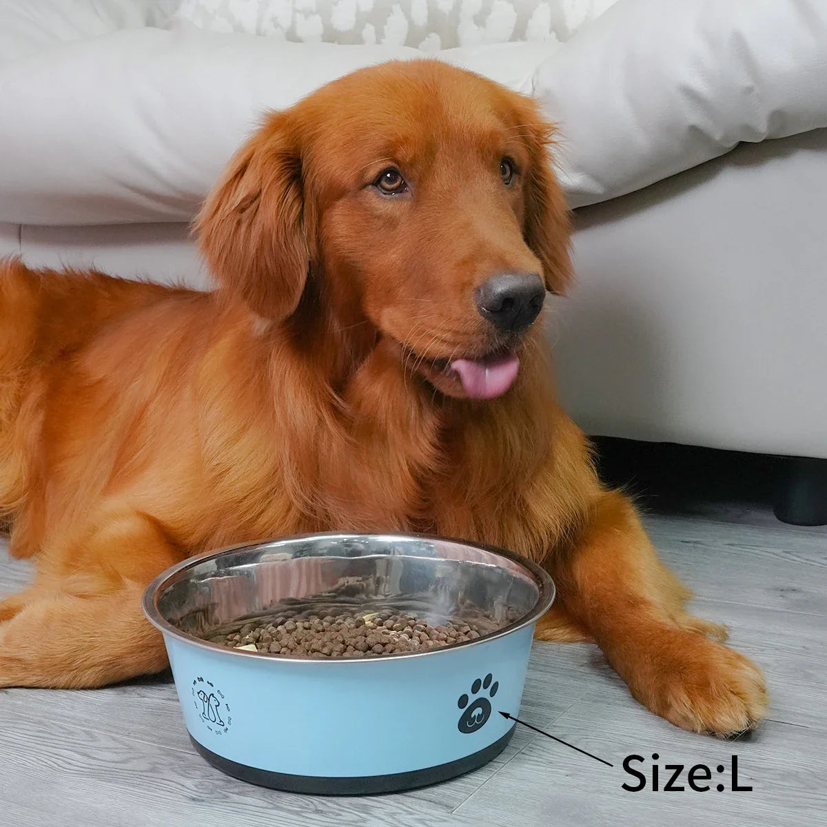 Dog Non-slip Stainless Steel  Food Bowl