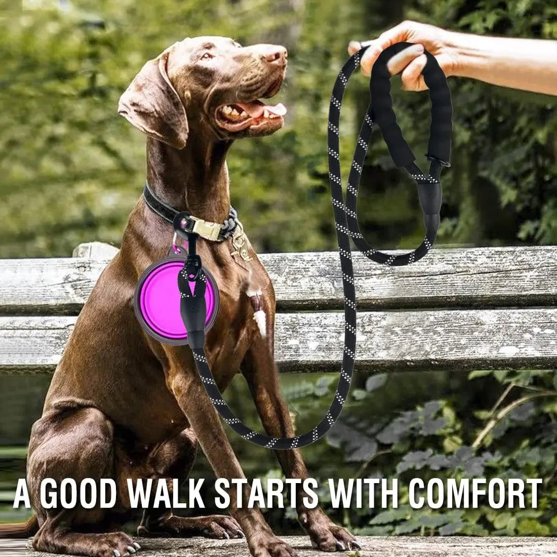 Dog Strong Reflective Leash